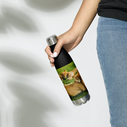 HydroSteel : bouteille d'eau en acier inoxydable de qualité supérieure - Durable, isolée et élégante avec motif imprimé de la famille Lion.