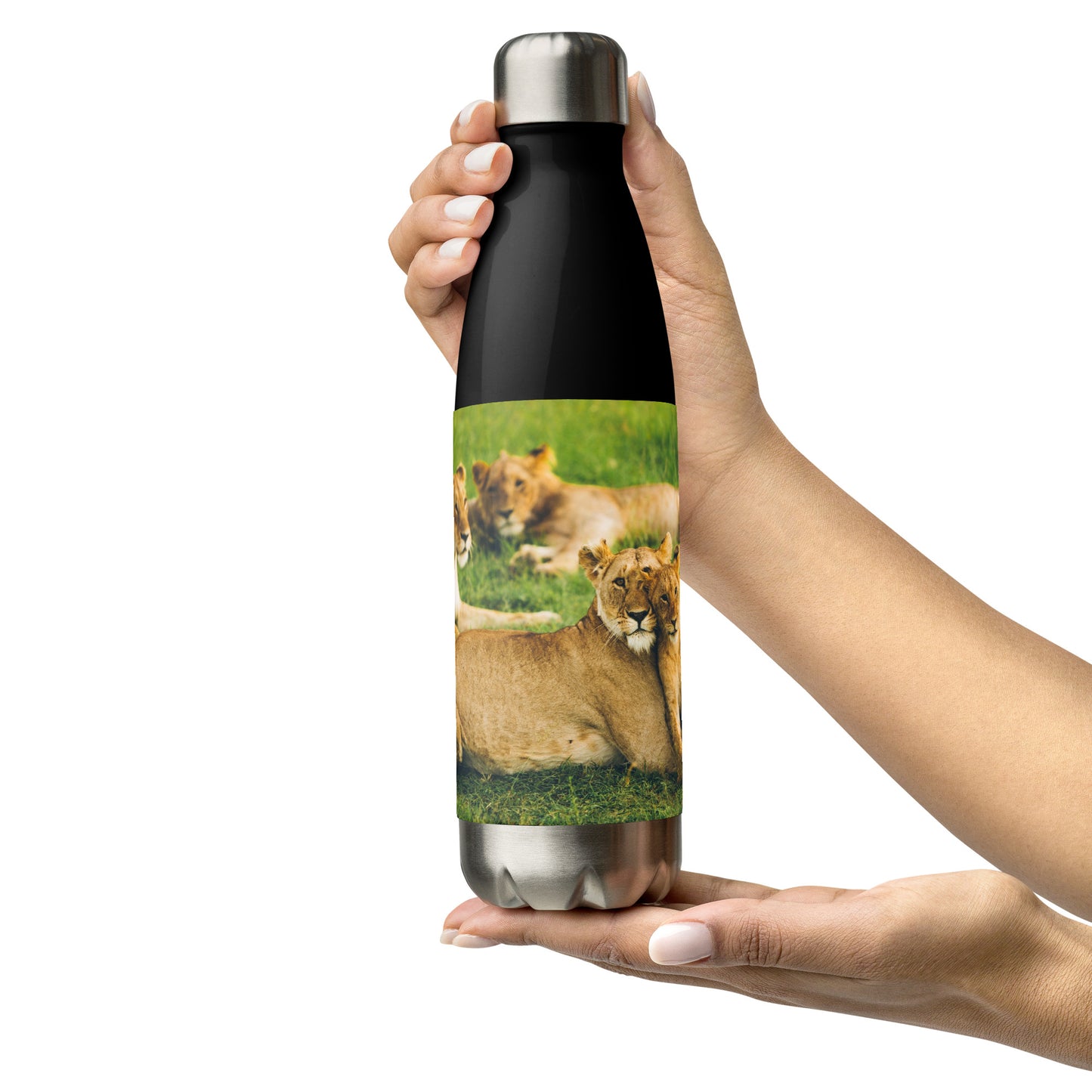 HydroSteel : bouteille d'eau en acier inoxydable de qualité supérieure - Durable, isolée et élégante avec motif imprimé de la famille Lion.