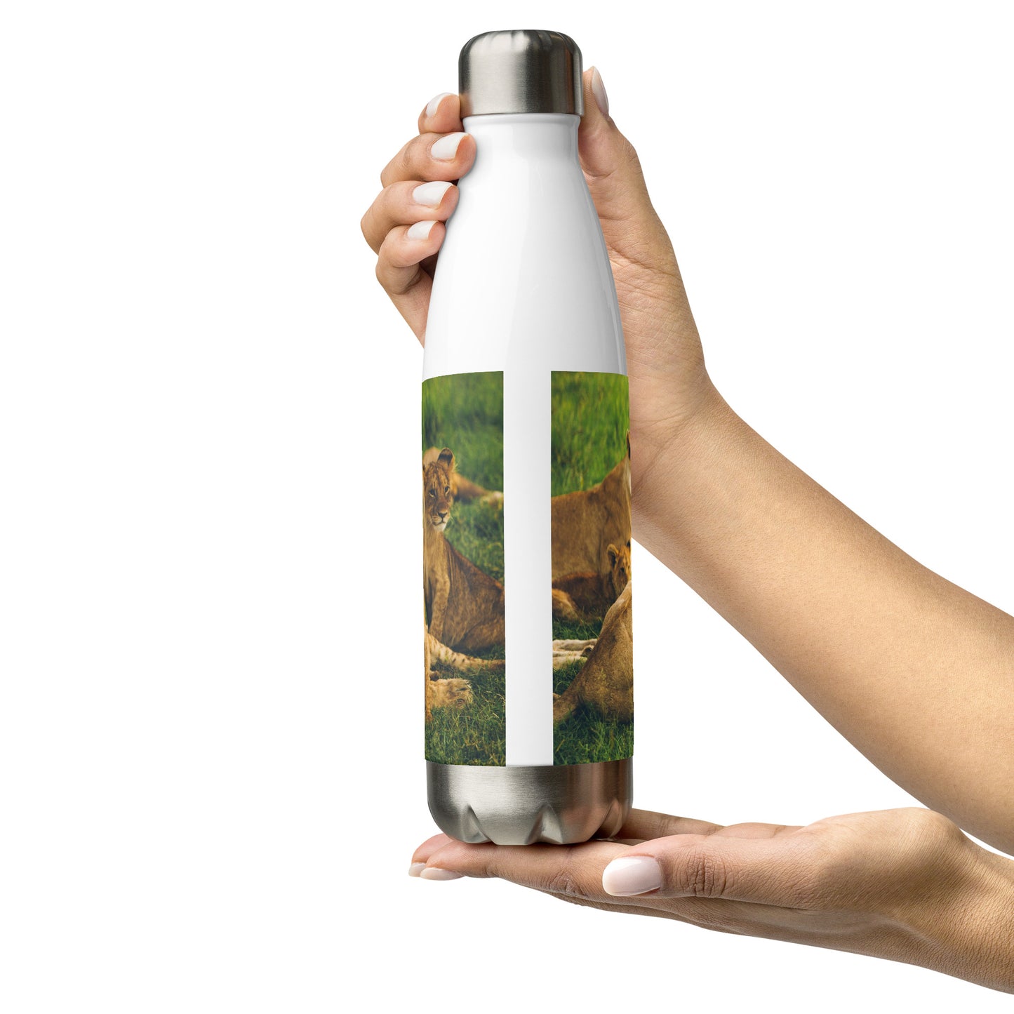 HydroSteel: botella de agua de acero inoxidable de primera calidad, duradera, aislada y elegante con diseño de impresión de familia de leones