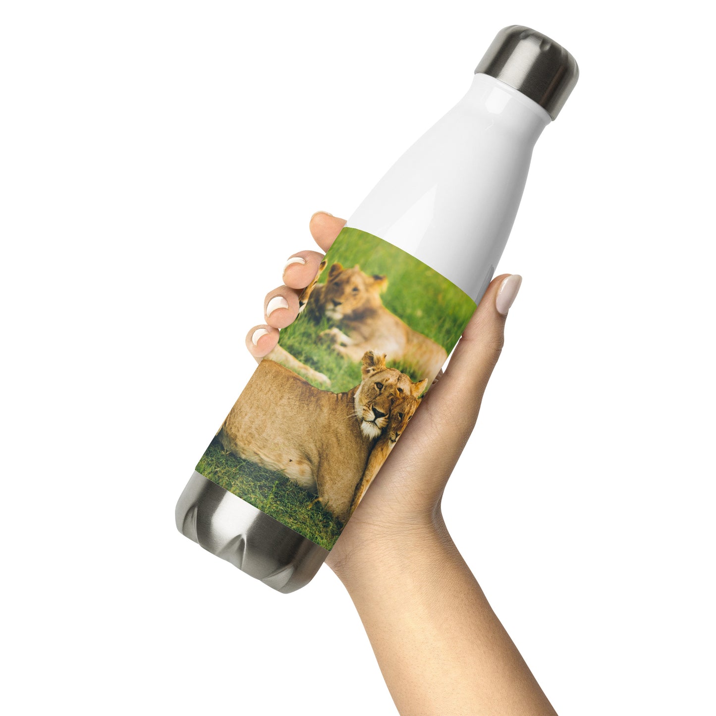 HydroSteel: Premium Stainless Steel Water Bottle - Durable, Insulated, and Stylish with Lion Family Print Design