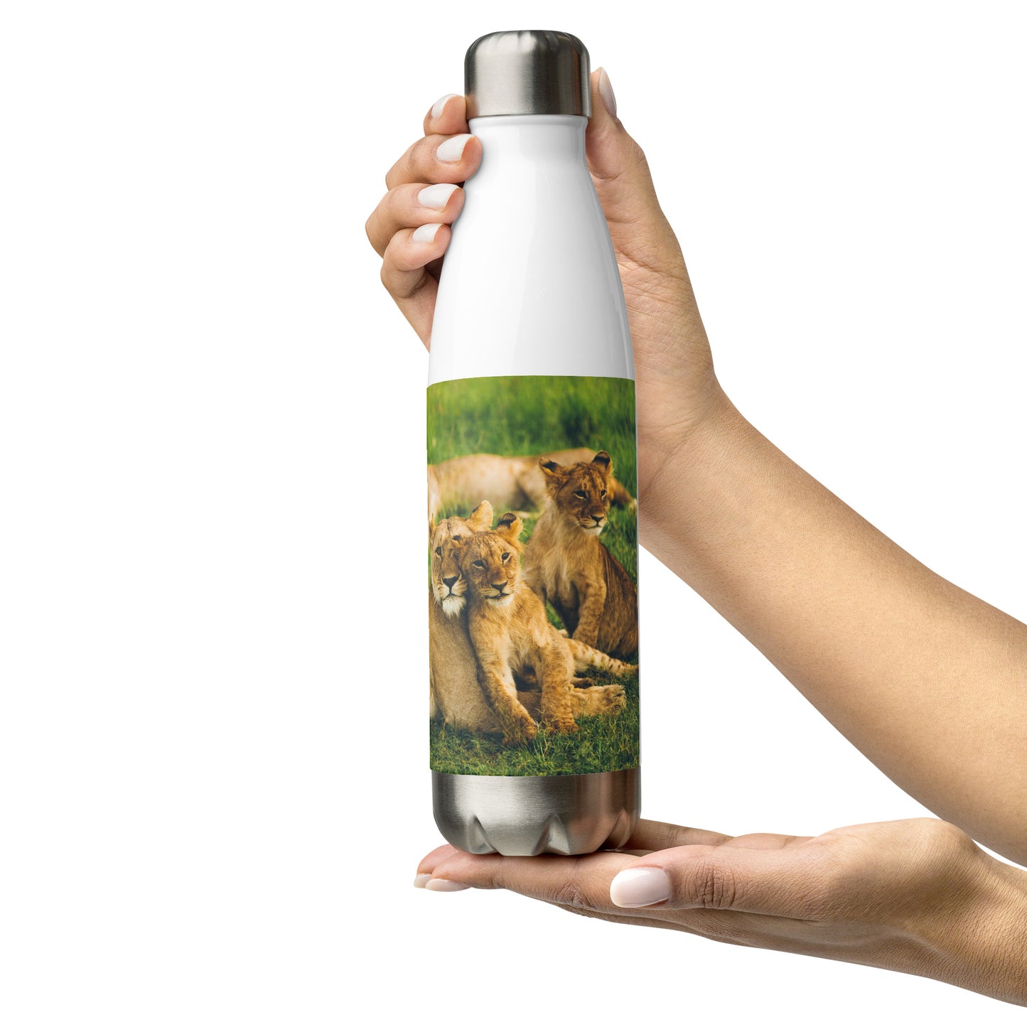 HydroSteel: Premium Stainless Steel Water Bottle - Durable, Insulated, and Stylish with Lion Family Print Design
