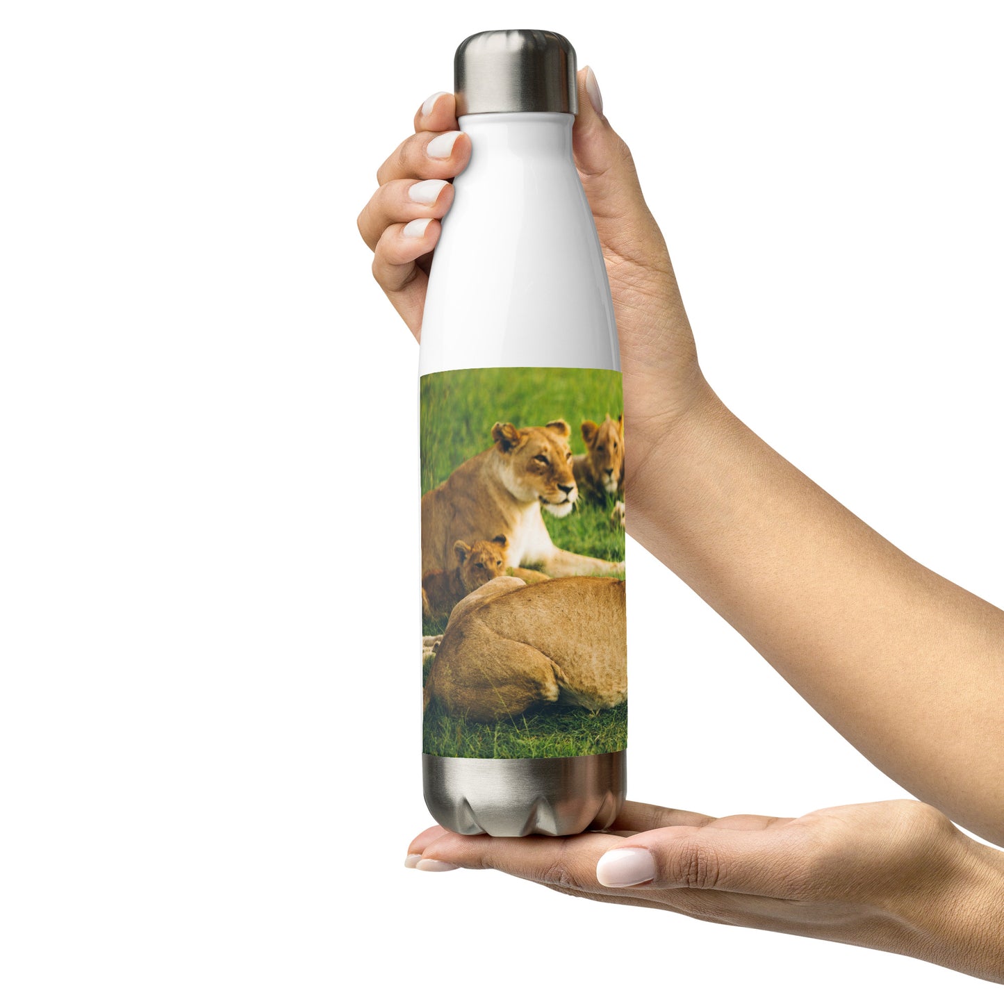 HydroSteel: Premium Stainless Steel Water Bottle - Durable, Insulated, and Stylish with Lion Family Print Design